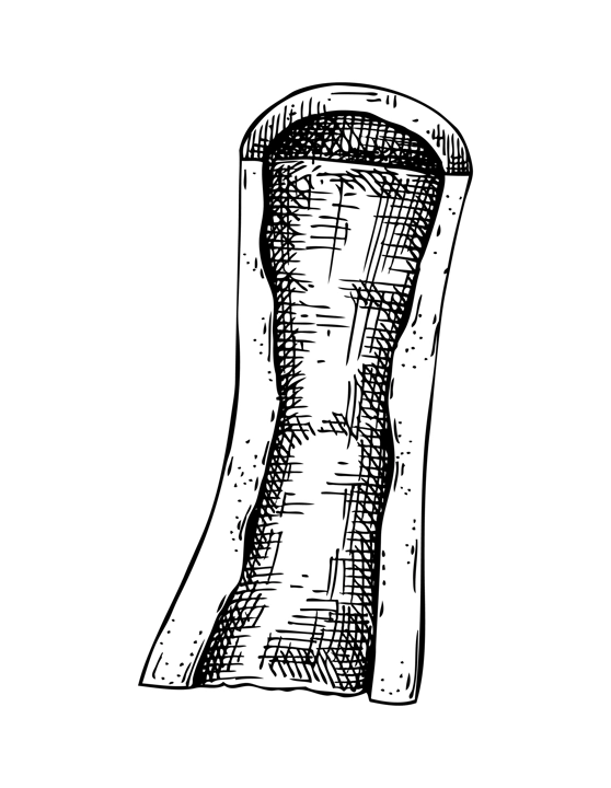 Slice of big marrowbone with meat sketch. Cooked bone isolated on white background. Hand drawn healthy food illustration for butchery, recipes, menu in vintage style.